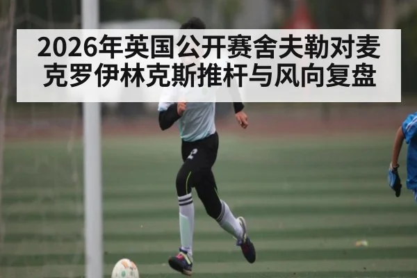 2026年英国公开赛舍夫勒对麦克罗伊林克斯推杆与风向复盘